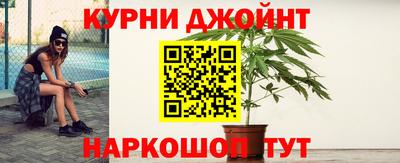 сатива Апшеронск