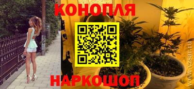 сатива Апшеронск