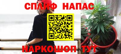 сатива Апшеронск