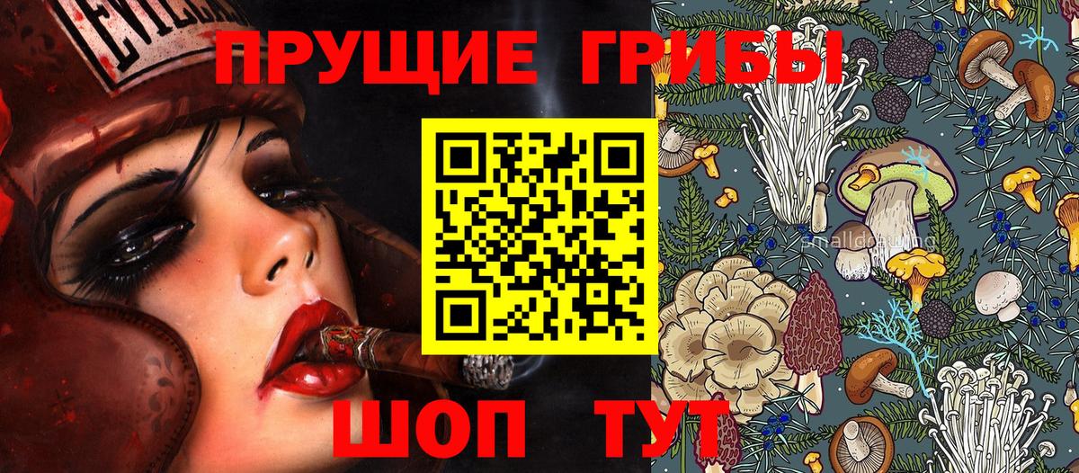 Псилоцибиновые грибы Psilocybine cubensis  Вход с VPN  Волгодонск  Псилоцибиновые грибы Cubensis 