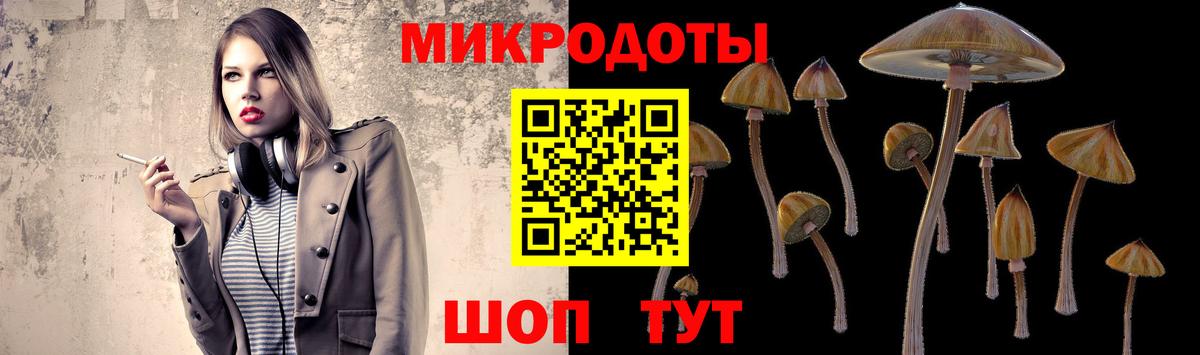 Псилоцибиновые грибы Psilocybe Волгодонск